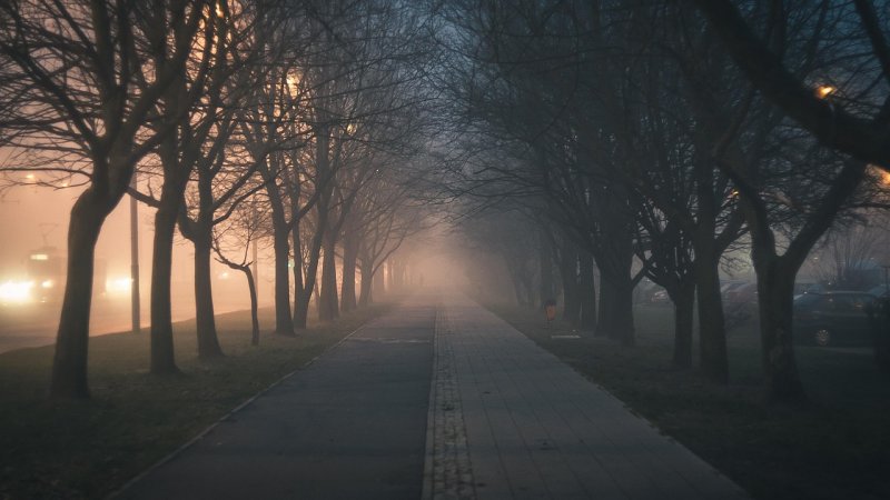 Polska w UE w 2026: między Brukselą a interesem narodowym