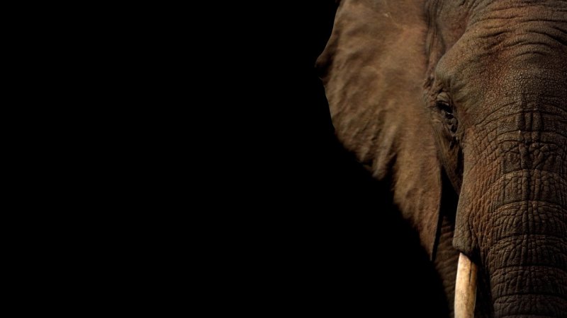Tusk: kiedy wizerunek rozmija się z faktycznymi decyzjami – 5 przykładów