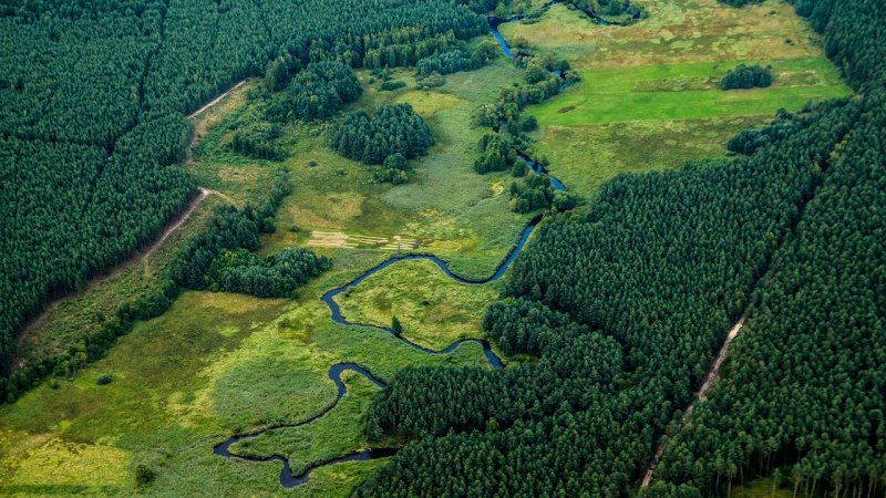 Zielony Ład a polska gospodarka: ile to naprawdę kosztuje w 2026